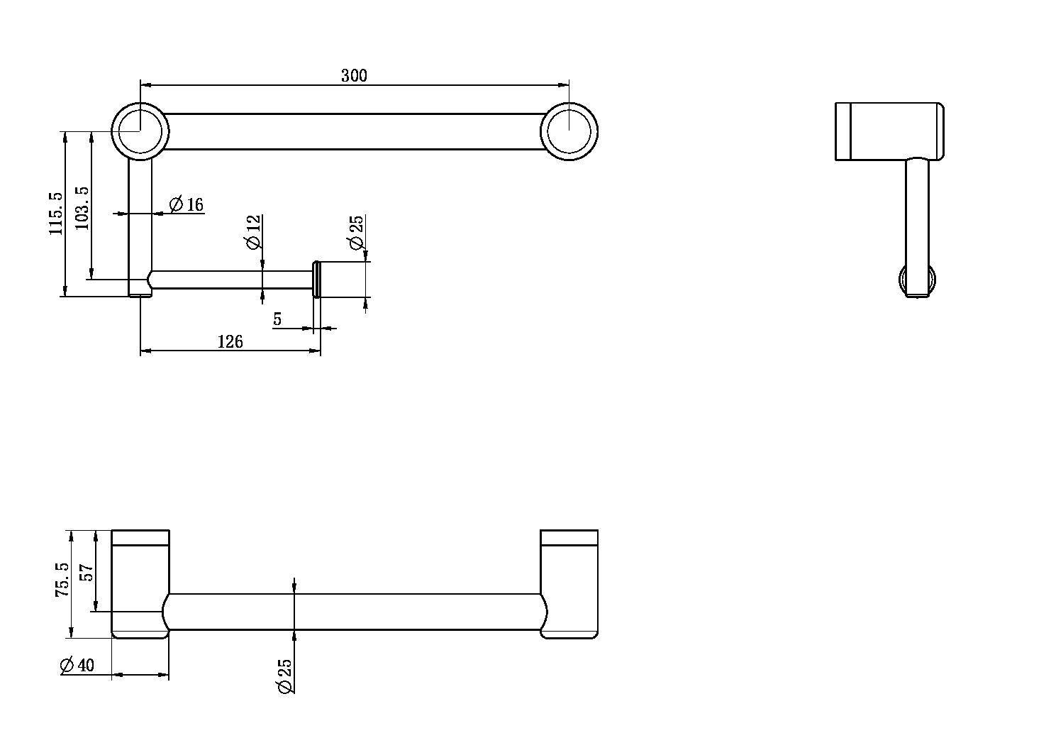 Nero Mecca Care 25mm Grab Rail with Toilet Roll Holder 300mm NRCR2512A
