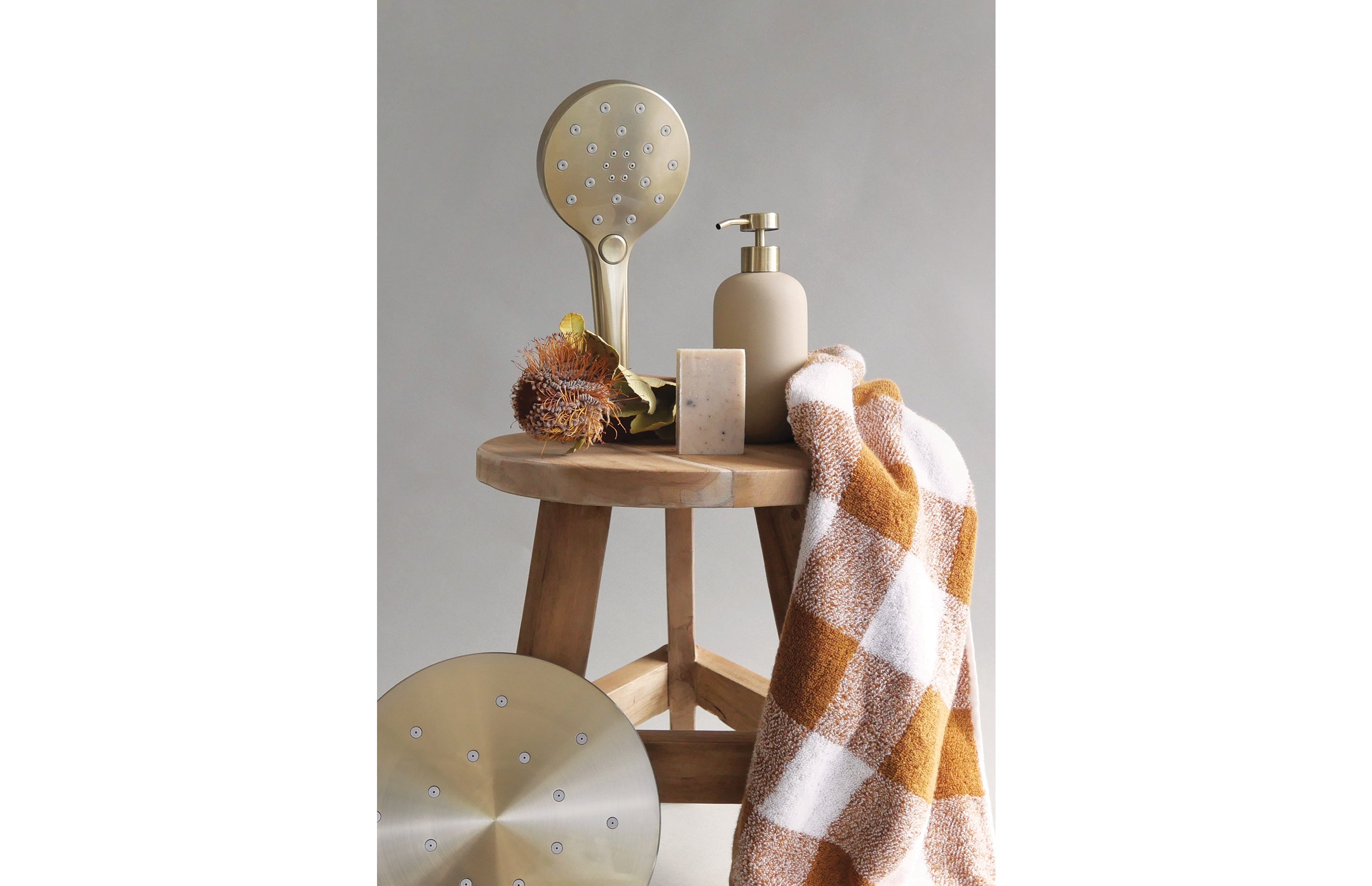 Phoenix Oxley Hand Shower 610-6630
