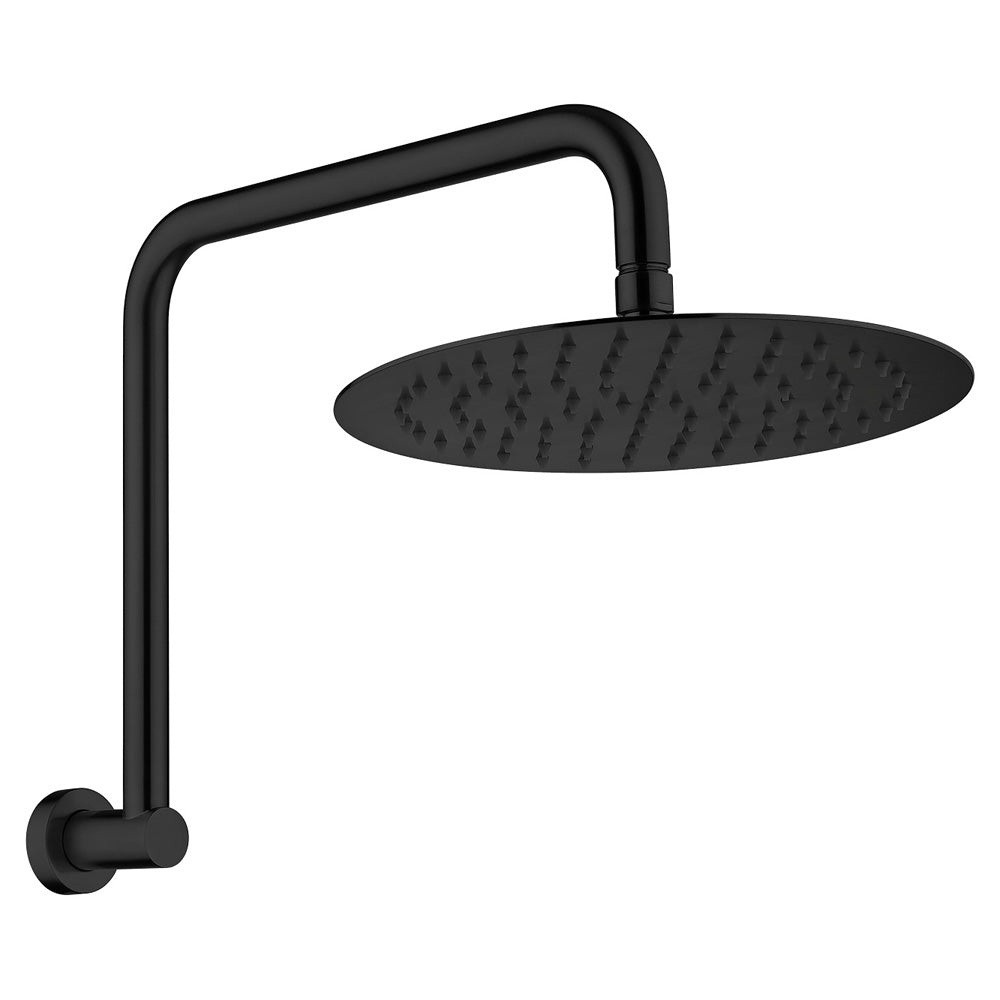 Fienza Kaya Gooseneck Shower Set Matte Black 411125B-A