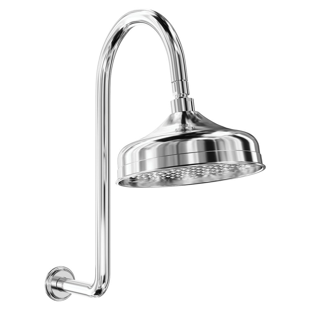 Fienza Lillian Gooseneck Shower Set Chrome 411138-A