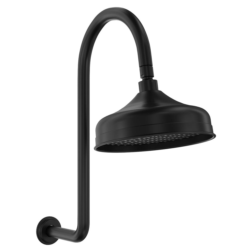 Fienza Lillian Gooseneck Shower Set Matte Black 411138B-A