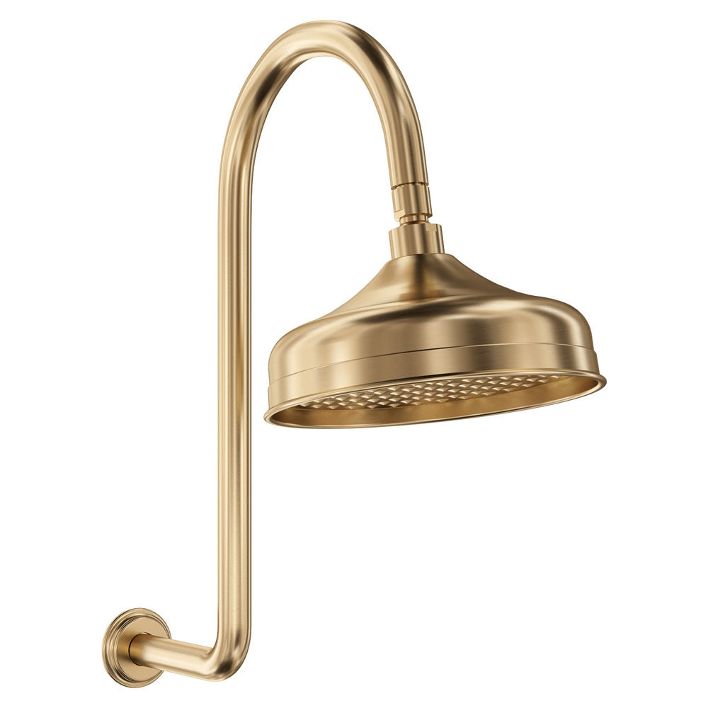 Fienza Lillian Gooseneck Shower Set Urban Brass 411138UB-A