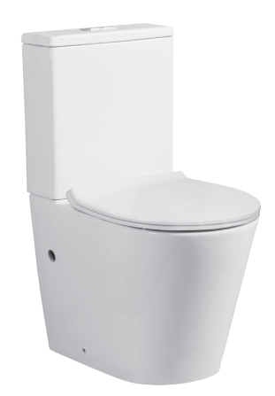 Decina Fabrino Rimless Back to Wall Toilet Suite FATSWFR