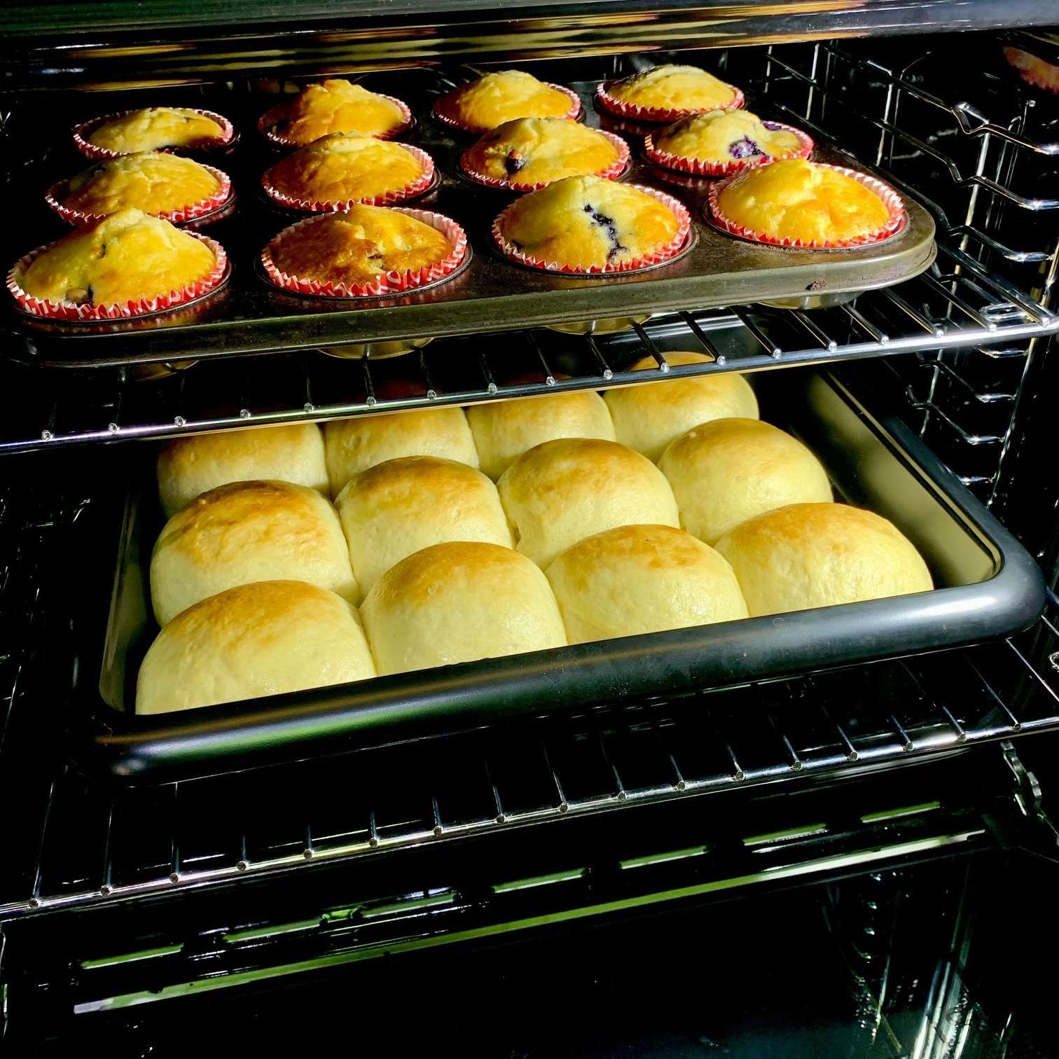 Kleenmaid 60cm Multifunction Oven OMF6014
