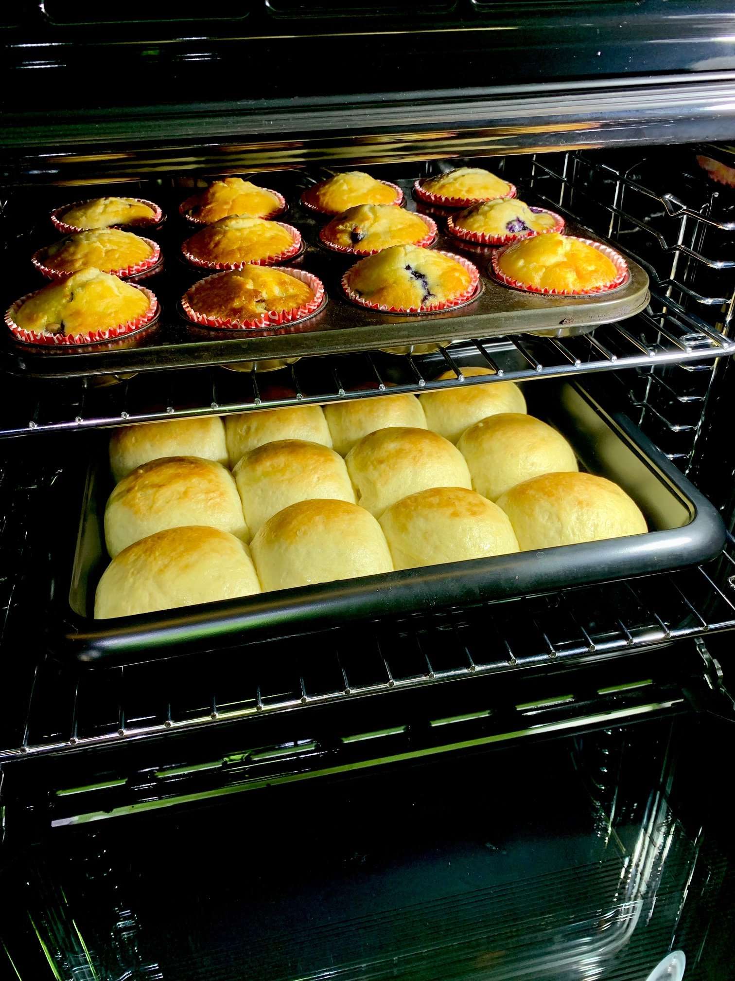 Kleenmaid 60cm Multifunction Oven OMF6015